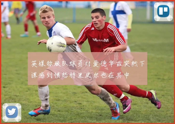 英媒称狼队球员对爱德华兹突然下课感到愤怒特里皮尔也在其中